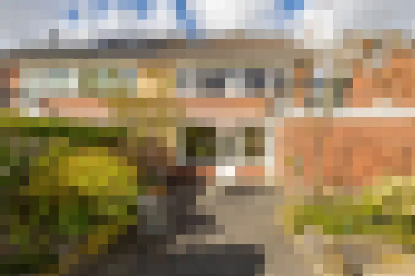 Jan Steenweg 28 Eelde thumbnail 47