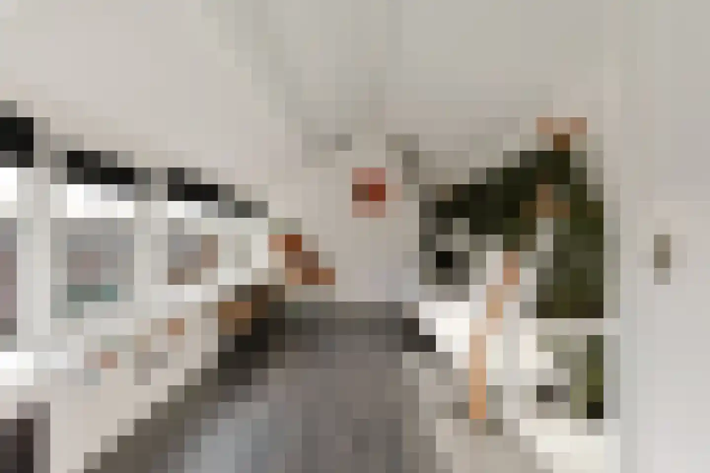 Jan Switzerpad 6 Nieuwveen thumbnail 31