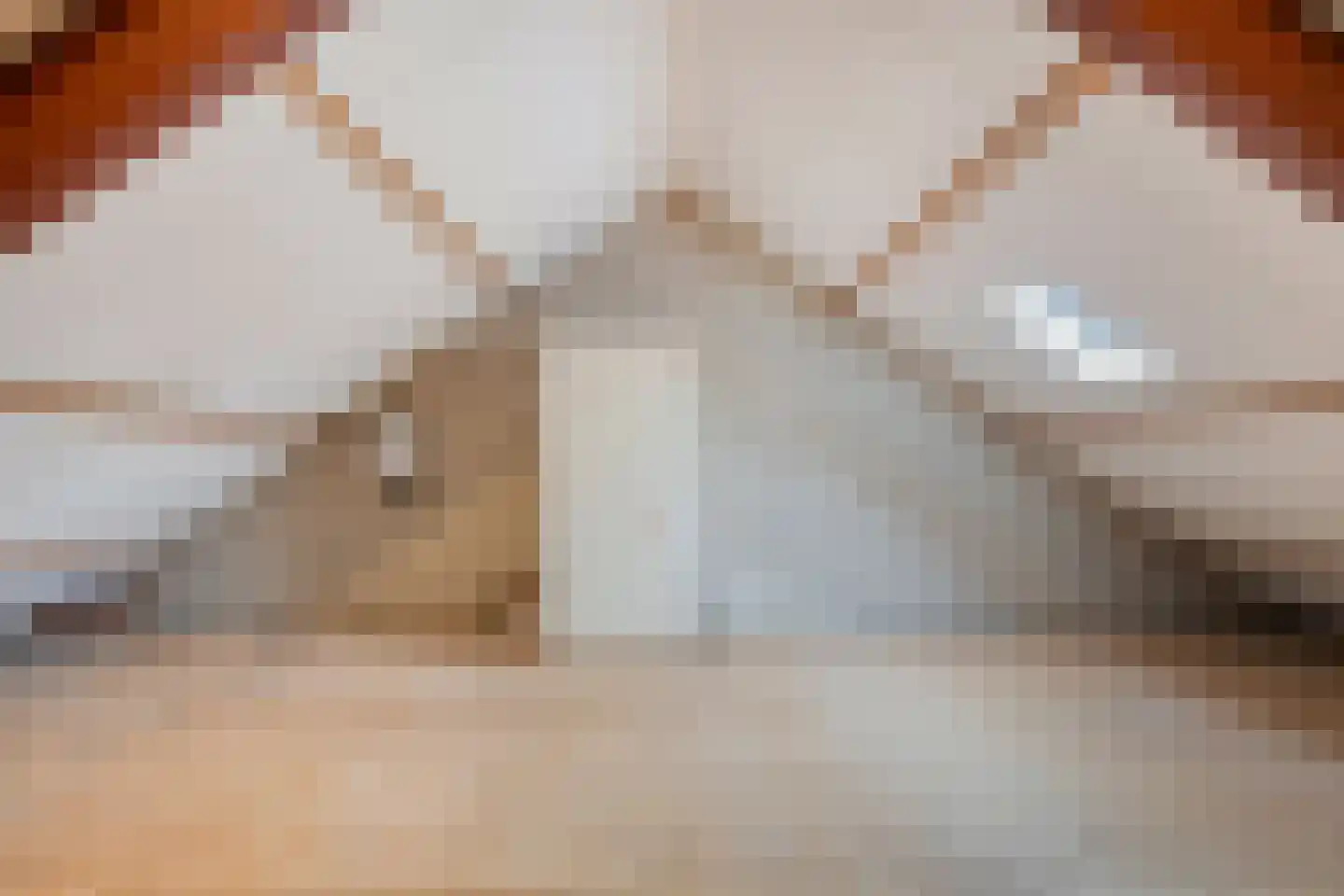 Jan Telkampstraat 1 Ruurlo thumbnail 22