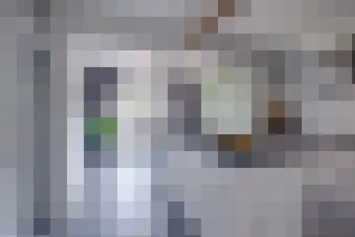 Jan Telkampstraat 18 Ruurlo thumbnail 5