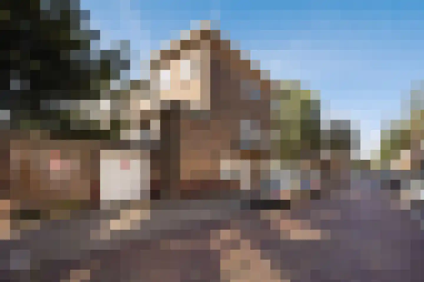 Jan ten Brinkstraat 18 Den Haag thumbnail 13