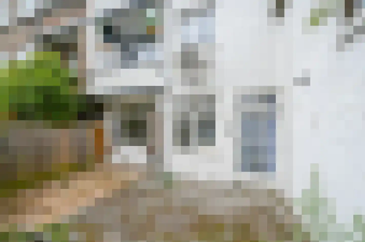 Jan ten Brinkstraat 56 Den Haag thumbnail 19