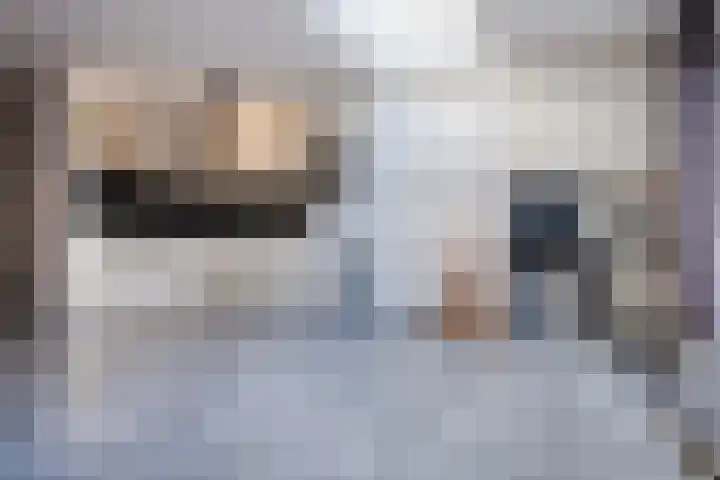 Jan ten Katedreef 21 Goirle thumbnail 14