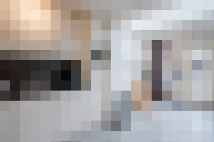 Jan ten Katedreef 21 Goirle thumbnail 21