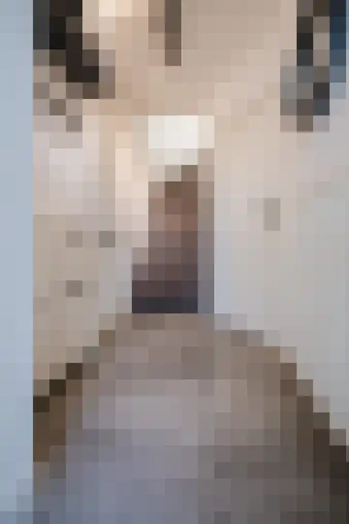 Jan ten Katedreef 21 Goirle thumbnail 23