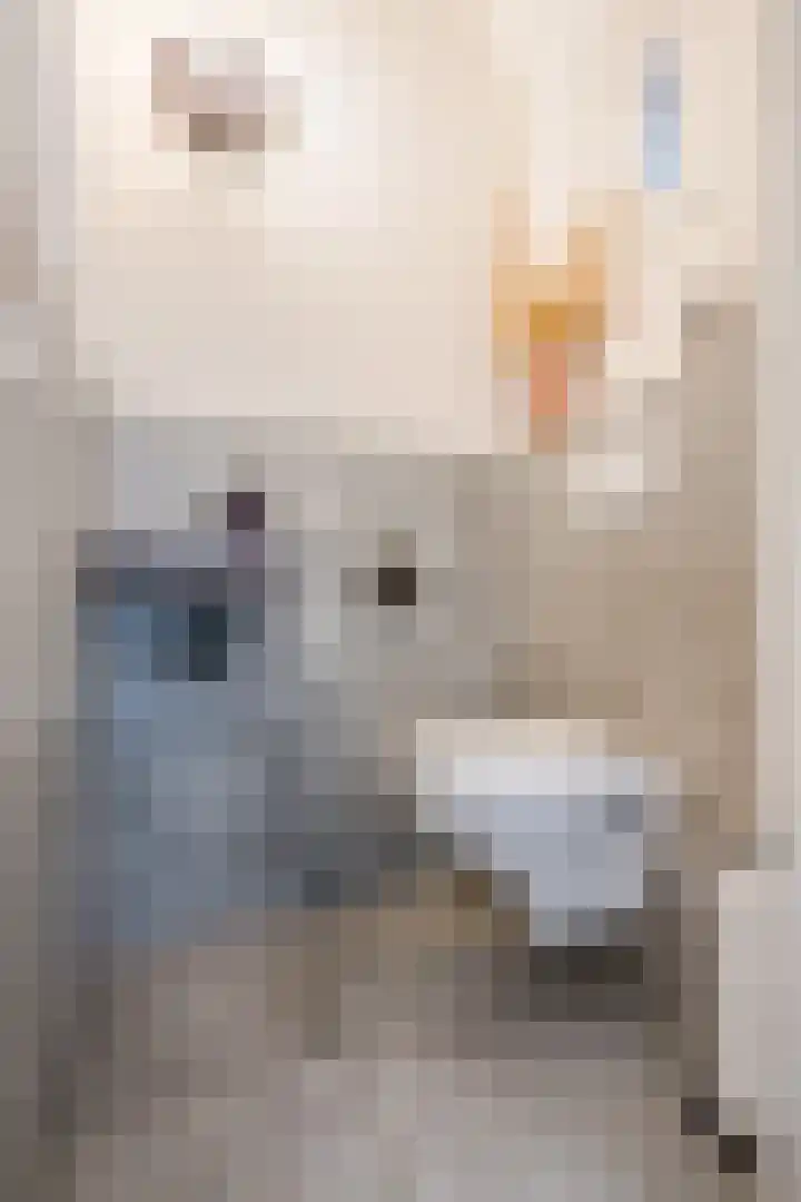 Jan ten Katedreef 21 Goirle thumbnail 24