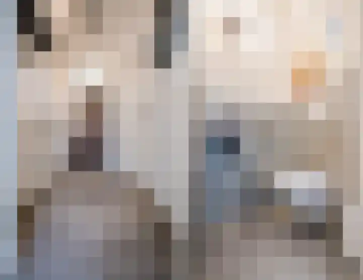 Jan ten Katedreef 21 Goirle thumbnail 25