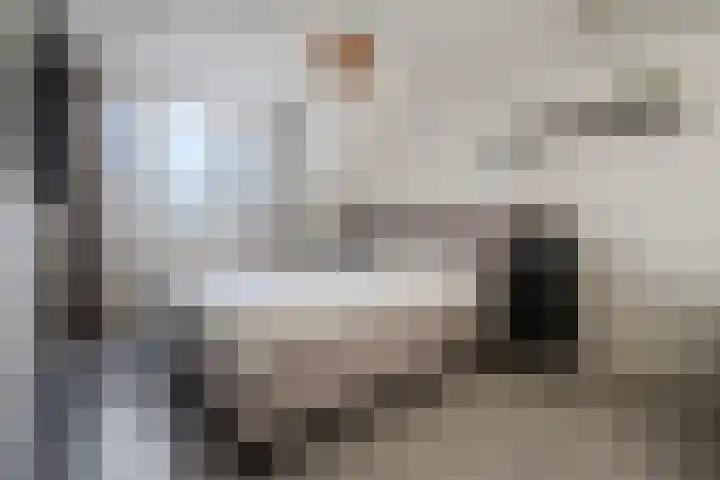 Jan ten Katedreef 21 Goirle thumbnail 26