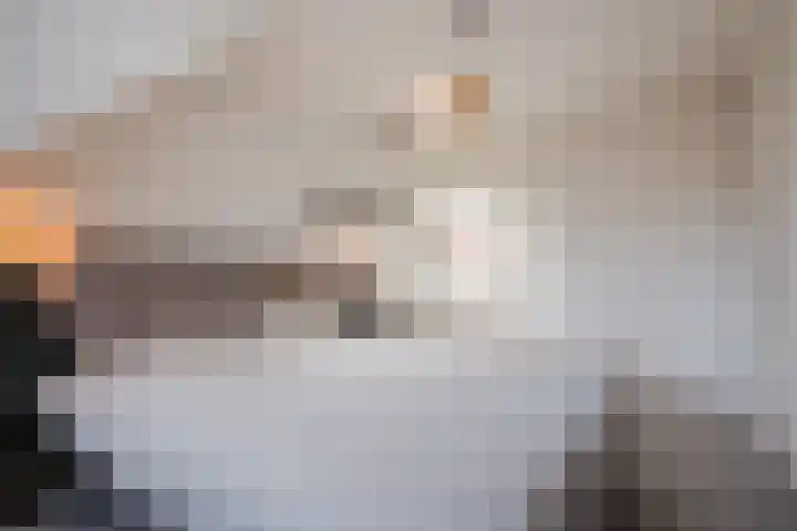 Jan ten Katedreef 21 Goirle thumbnail 28