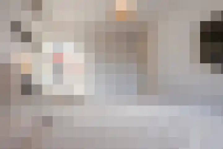 Jan ten Katedreef 21 Goirle thumbnail 29