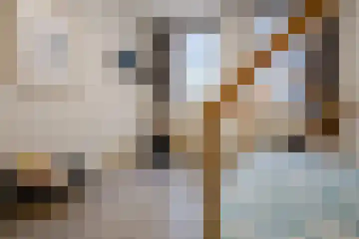Jan ten Katedreef 21 Goirle thumbnail 30