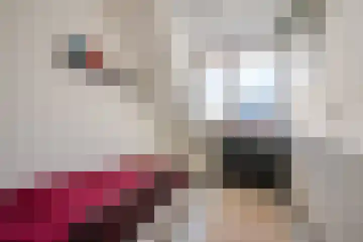 Jan ten Katedreef 21 Goirle thumbnail 33