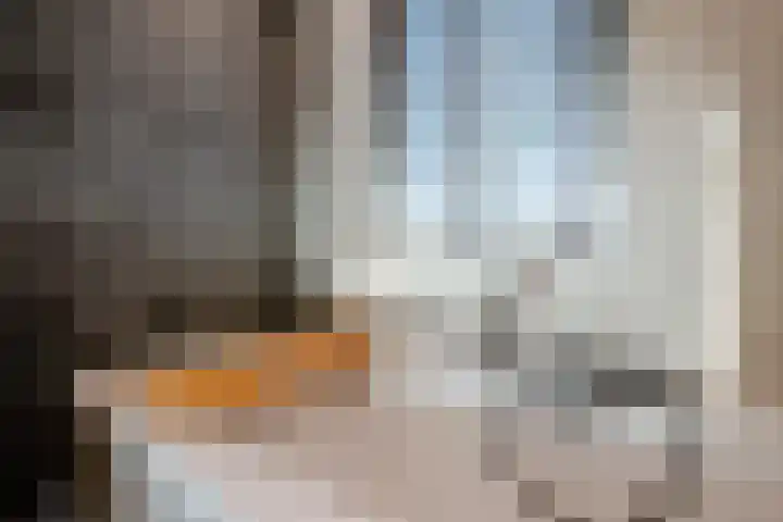 Jan ten Katedreef 21 Goirle thumbnail 37