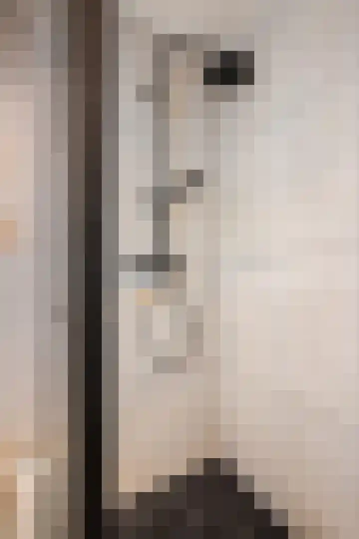 Jan ten Katedreef 21 Goirle thumbnail 41