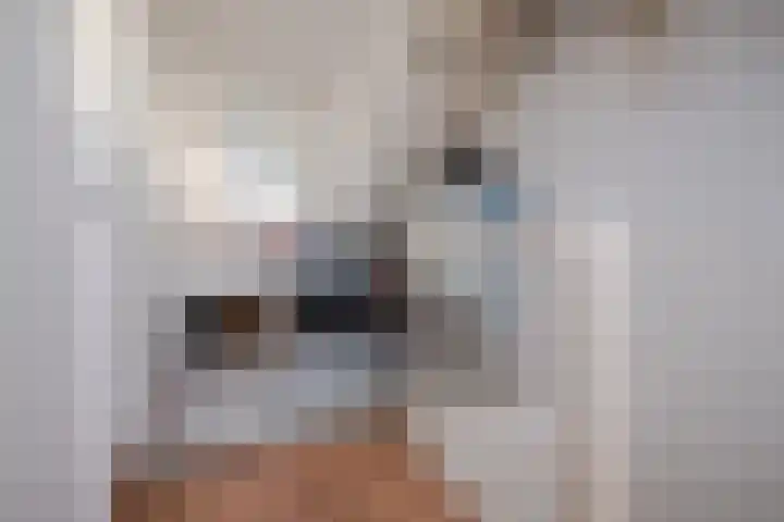 Jan ten Katedreef 21 Goirle thumbnail 48