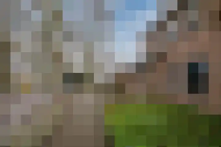 Jan ten Katedreef 21 Goirle thumbnail 71