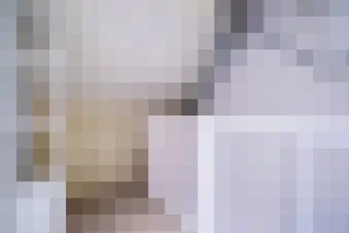 Jan ten Katedreef 22 Goirle thumbnail 22