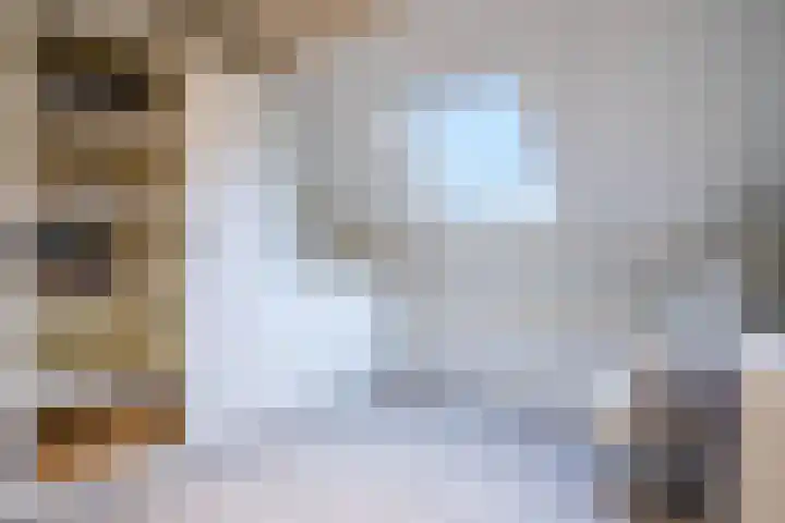 Jan ten Katedreef 22 Goirle thumbnail 23
