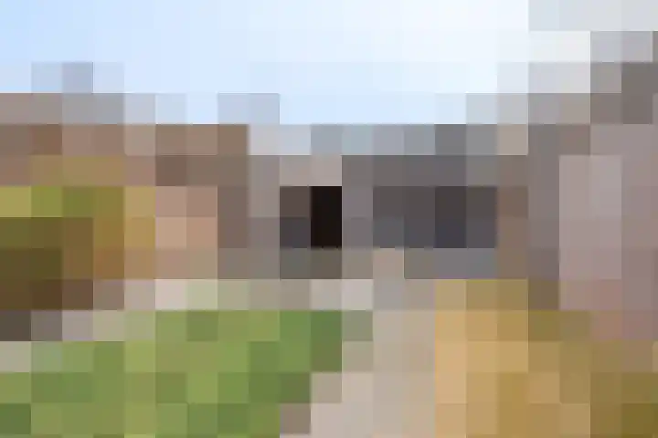 Jan ten Katedreef 22 Goirle thumbnail 25