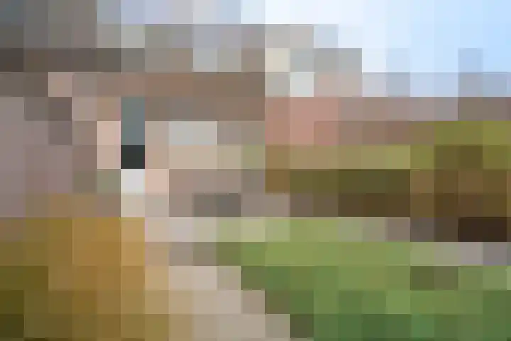 Jan ten Katedreef 22 Goirle thumbnail 28