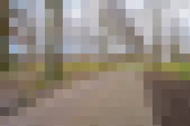 Jan ten Katedreef 22 Goirle thumbnail 31