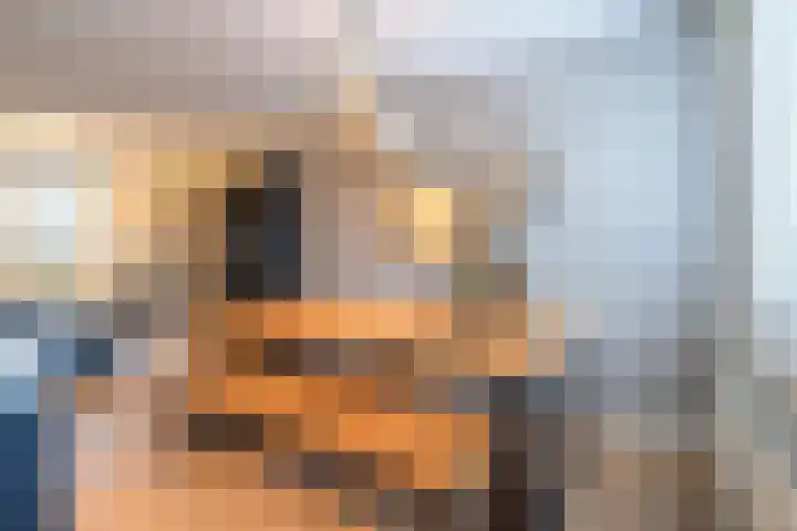 Jan ten Katedreef 22 Goirle thumbnail 8