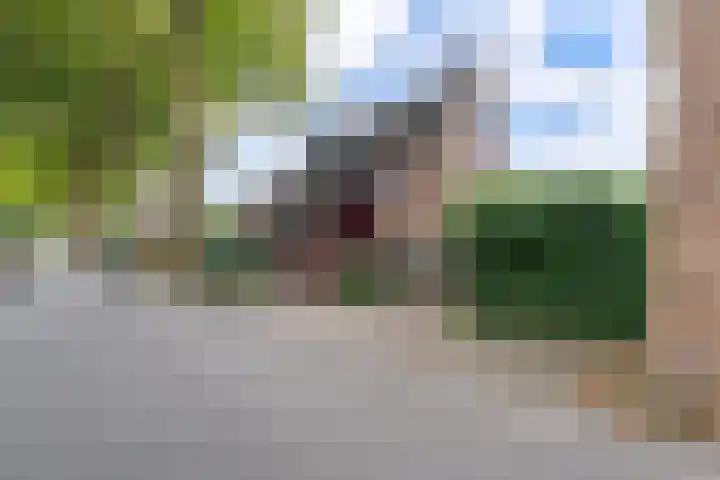 Jan ter Gouwweg 135 Naarden thumbnail 36