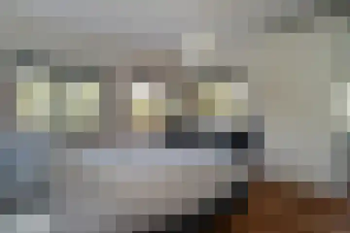 Jan ter Gouwweg 44 Naarden thumbnail 18
