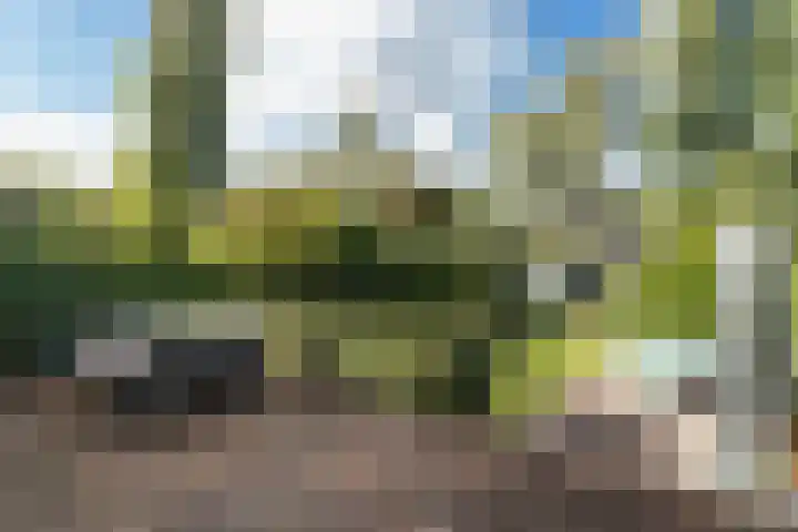 Jan ter Gouwweg 44 Naarden thumbnail 25