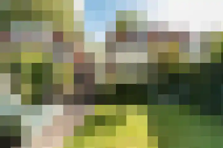 Jan ter Gouwweg 44 Naarden thumbnail 33