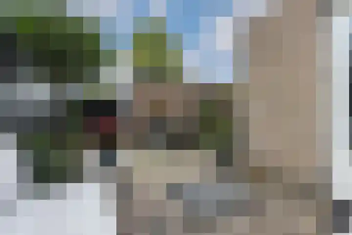 Jan ter Gouwweg 65 Naarden thumbnail 31