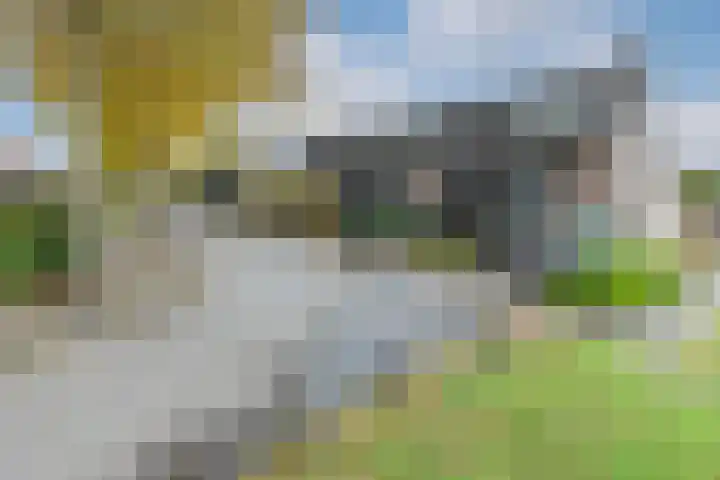 Jan ter Gouwweg 65 Naarden thumbnail 33