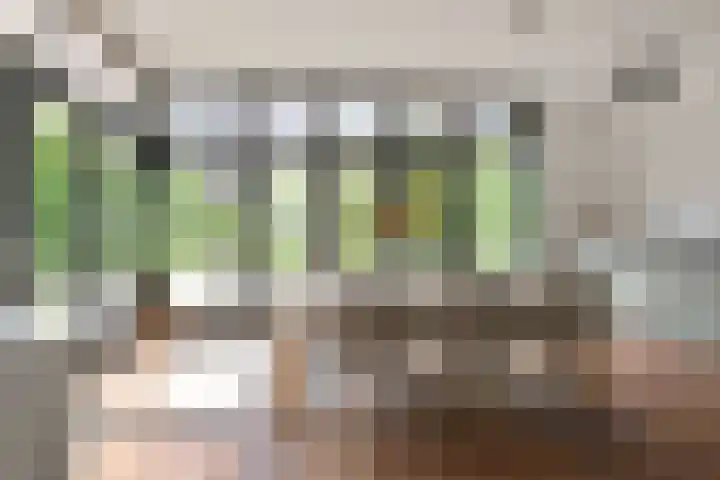 Jan ter Gouwweg 9 Naarden thumbnail 10