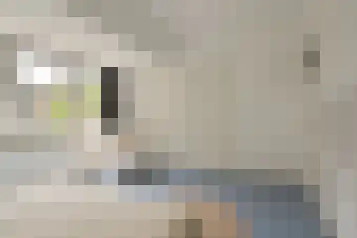 Jan ter Gouwweg 9 Naarden thumbnail 17