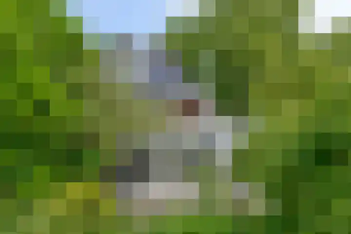 Jan ter Gouwweg 9 Naarden thumbnail 27