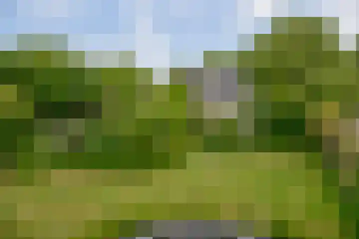 Jan ter Gouwweg 9 Naarden thumbnail 28