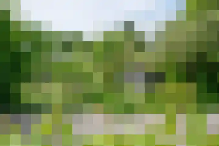 Jan ter Gouwweg 9 Naarden thumbnail 29