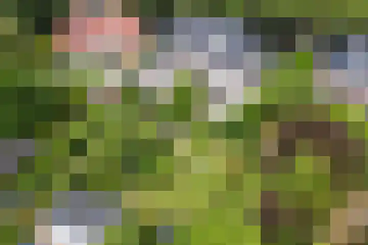 Jan ter Gouwweg 9 Naarden thumbnail 30