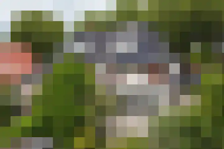 Jan ter Gouwweg 9 Naarden thumbnail 31
