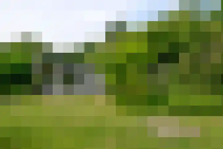 Jan ter Gouwweg 9 Naarden thumbnail 36