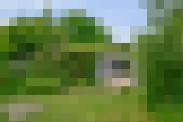 Jan ter Gouwweg 9 Naarden thumbnail 38