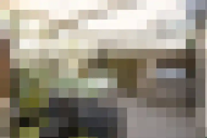 Jan ter Gouwweg 99 Naarden thumbnail 21