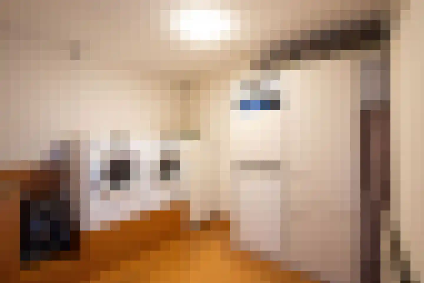 Jan Teulingslaan 69 Amstelveen thumbnail 32