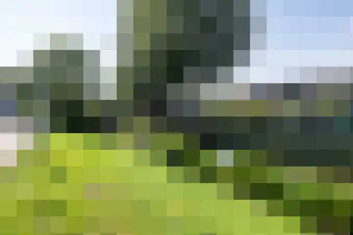 Jan Teulingslaan 71 Amstelveen thumbnail 33