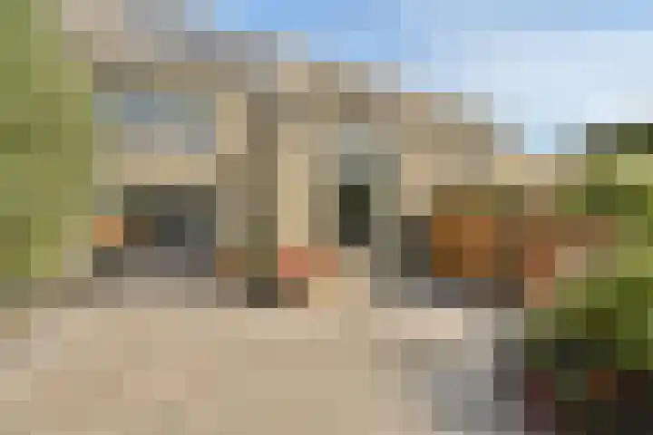 Jan Teulingslaan 73 Amstelveen thumbnail 13