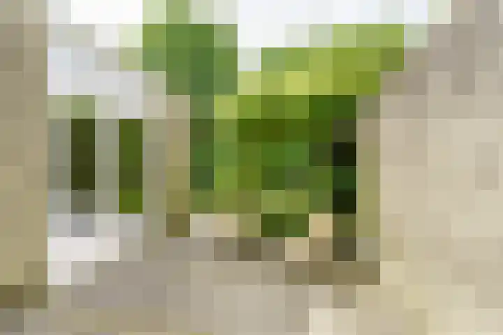 Jan Teulingslaan 81 Amstelveen thumbnail 11
