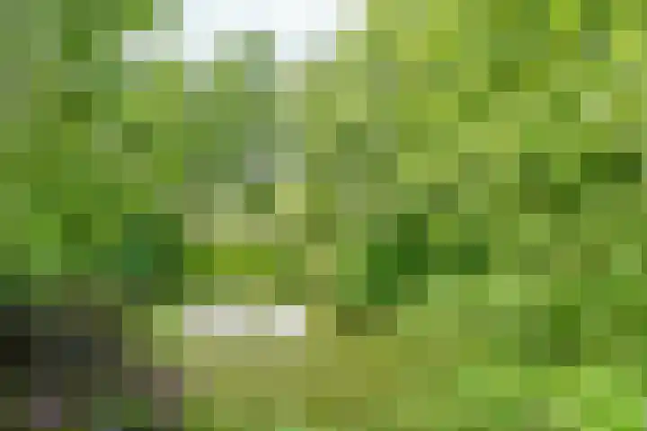 Jan Teulingslaan 81 Amstelveen thumbnail 24