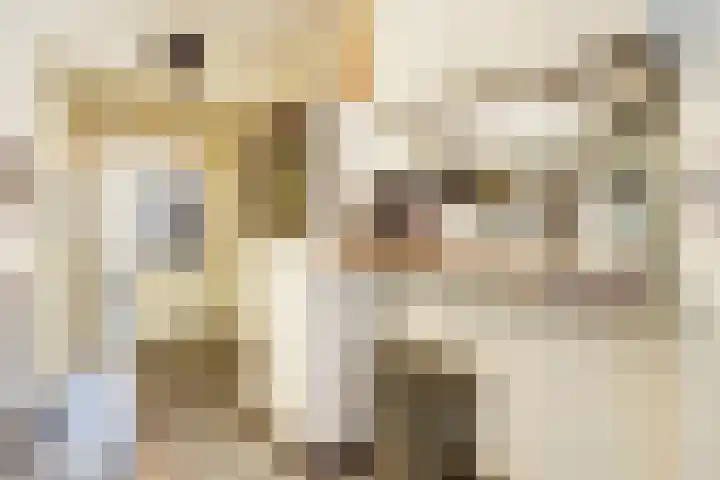 Jan Th. Tooroplaan 122 Ede thumbnail 15