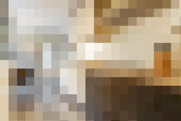 Jan Th. Tooroplaan 122 Ede thumbnail 17