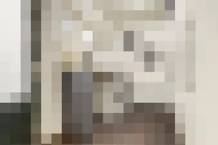 Jan Th. Tooroplaan 122 Ede thumbnail 18
